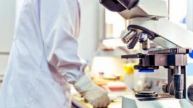 Covid-19 : Réouverture probable de l’usine Médis Covid-19 : Réouverture probable de l’usine Médis