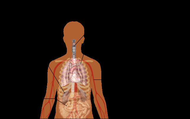 Occident - Gestion médiocre et tardive de la crise du Coronavirus (1). L'heure devrait être à un dépistage massif et obligatoire.