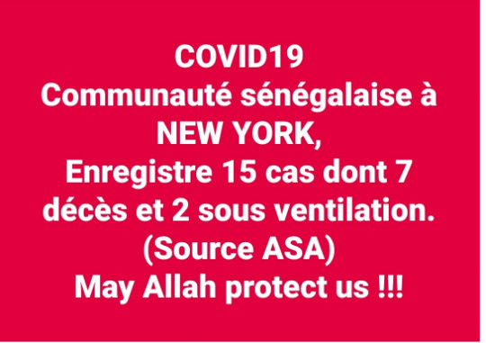 COVID-19: Sadio Yaya Barry président de l'association des Sénégalais aux USA fait la situation des sénégalais sur le coronavirus COVID-19: Sadio Yaya Barry président de l'association des Sénégalais aux USA fait la situation des sénégalais sur le coronavirus