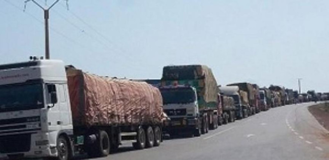 Gora Khouma et Cie sur le transport de l'aide alimentaire: " Diop Sy n’est qu’un prête-nom, il y’a d’autres hommes politiques derrière lui"