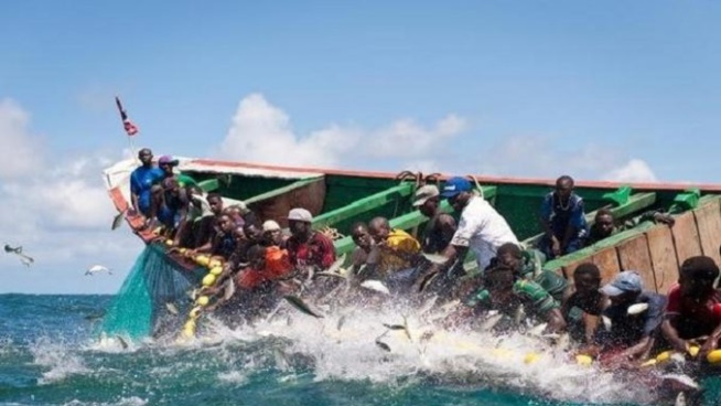 Covid-19 – Vidéo : Incroyable près de 40 pêcheurs mis en quarantaine au quai de Yoff…