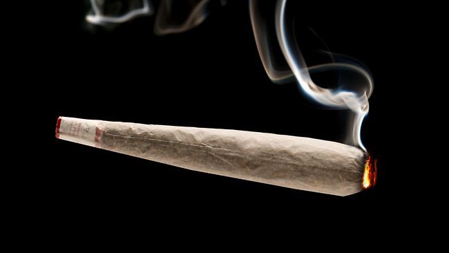 Détention et usage de chanvre indien à Ziguinchor: Dimitri M., fumeur de yamba, pris en flagrant délit Détention et usage de chanvre indien à Ziguinchor: Dimitri M., fumeur de yamba, pris en flagrant délit