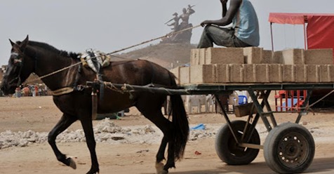 Braquage à Keur Massar : Quatre charretiers attaquent une bijouterie en plein jour Braquage à Keur Massar : Quatre charretiers attaquent une bijouterie en plein jour
