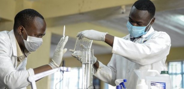 Traitement Covid-19 : Vers des essais cliniques d’un remède sénégalais (spécialiste) Traitement Covid-19 : Vers des essais cliniques d’un remède sénégalais (spécialiste)