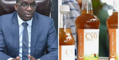 Covid- Organics malgache : Abdoulaye Diouf Sarr lance un message ferme aux Sénégalais