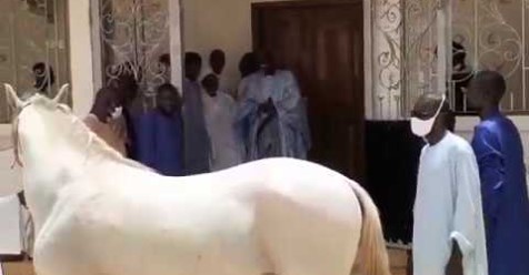 Cadeau de Serigne Mountakha Mbacké: Un Cheval Blanc comme « Adiya » à Serigne Moustapha Saliou Cadeau de Serigne Mountakha Mbacké: Un Cheval Blanc comme « Adiya » à Serigne Moustapha Saliou