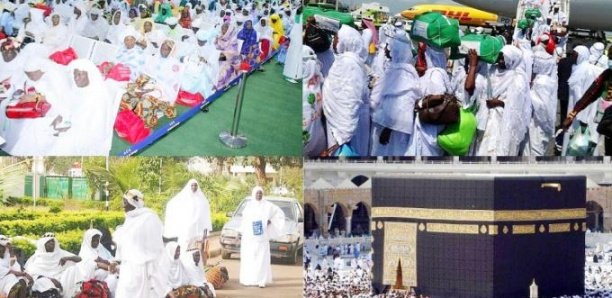 Pèlerinage à la Mecque: "il n'y a aucun changement concernant le hajj 2020" (Dgp)