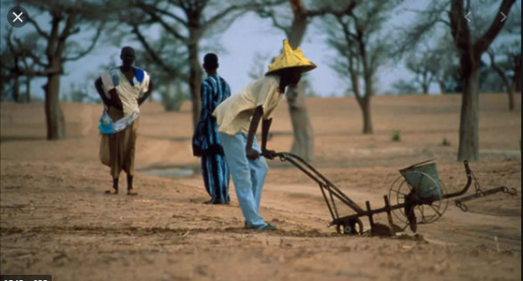 Hivernage: Le Sénégal a enregistré ses premières pluies ce lundi