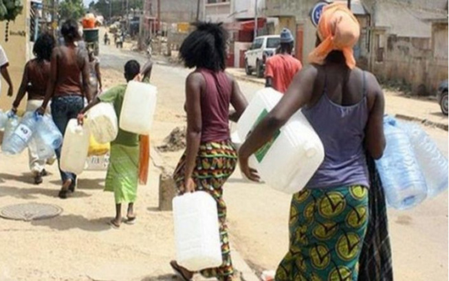 Manque d’eau: Certains quartiers de Dakar vivent le calvaire