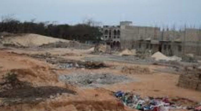 Bandes de filaos : Zoom sur la zone de toutes les convoitises Bandes de filaos : Zoom sur la zone de toutes les convoitises