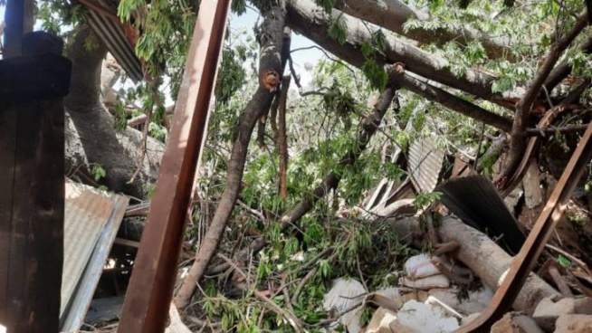 Nécrologie -Le département de Kafrine en deuil :mort atroce par accident de… Nécrologie -Le département de Kafrine en deuil :mort atroce par accident de…