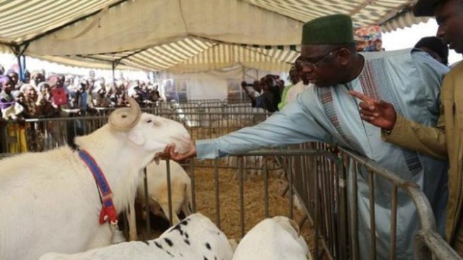 Les décisions majeures de Macky Sall pour la Tabaski 2020 dévoilées Les décisions majeures de Macky Sall pour la Tabaski 2020 dévoilées