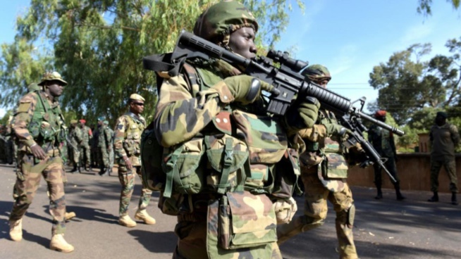 Casamance : L’armée pilonne les rebelles et leurs bases dans la forêt de Mbissine Casamance : L’armée pilonne les rebelles et leurs bases dans la forêt de Mbissine