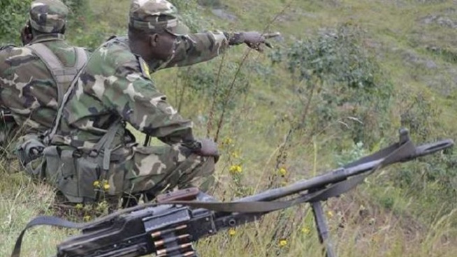 Casamance : L’armée Pilonne La Forêt De Mbissine Casamance : L’armée Pilonne La Forêt De Mbissine