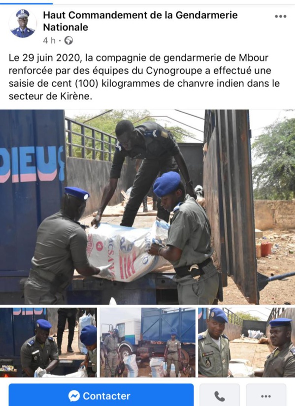 Mbour: La gendarmerie a saisi 100 kg de chanvre indien Mbour: La gendarmerie a saisi 100 kg de chanvre indien