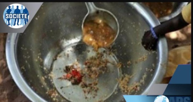 Risque d’insécurité alimentaire au Sénégal: Après la Fao, le Programme alimentaire mondial sonne l’alerte Risque d’insécurité alimentaire au Sénégal: Après la Fao, le Programme alimentaire mondial sonne l’alerte