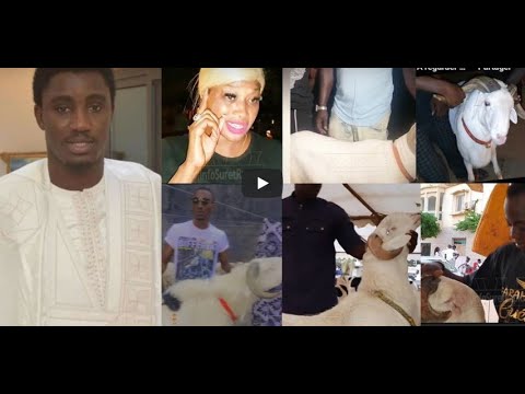 Wally Seck distribue des moutons aux chanteurs dans la discrétion … Regardez Wally Seck distribue des moutons aux chanteurs dans la discrétion … Regardez