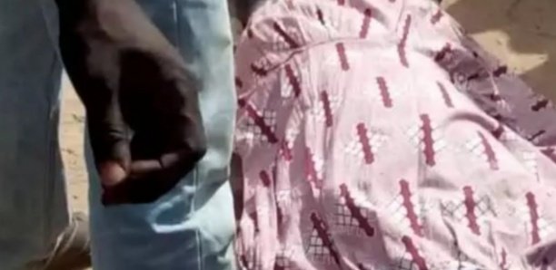 Touba : «Dawul Xaré», présumé meurtrier d’un charretier, fait de glaçantes révélations Touba : «Dawul Xaré», présumé meurtrier d’un charretier, fait de glaçantes révélations