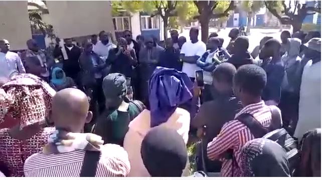 Medis - Les tunisiens veulent licencier une bonne partie du personnel ou... Medis - Les tunisiens veulent licencier une bonne partie du personnel ou...