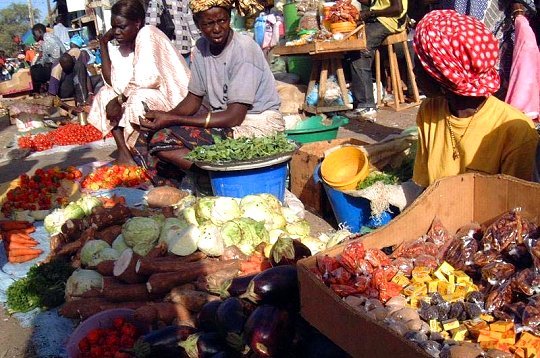 Sénégal : Baisse des chiffres d’affaires des services et du commerce en avril 2020