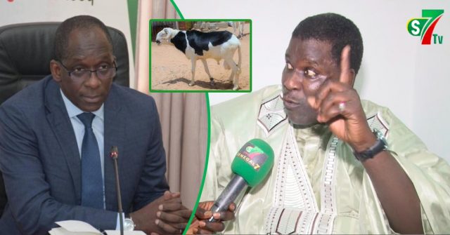 Tabaski – La réplique salée de Iran Ndao à Diouf Sarr: « Kèn manouma té wakh deug…Yallah kèn dou… »