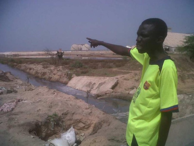 Mbao - Expropriation de terres - Mame Boye Diao et le Gouverneur de Dakar cités, 31 milliards F CFA en jeu Mbao - Expropriation de terres - Mame Boye Diao et le Gouverneur de Dakar cités, 31 milliards F CFA en jeu