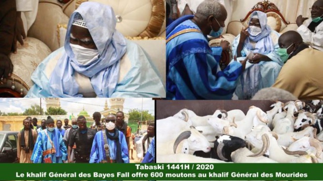 Tabaski 2020 : Le khalife des Bayes Fall offre 600 moutons à Serigne Mountakha… Tabaski 2020 : Le khalife des Bayes Fall offre 600 moutons à Serigne Mountakha…