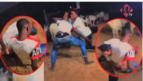 A mourir de rire : Le combat Ouzin Keita vs Mbaye Kouthia Show A mourir de rire : Le combat Ouzin Keita vs Mbaye Kouthia Show