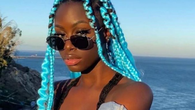 PENDANT CE TEMPS LÀ MAME DIARRA SEN PETIT GALLÉ SE LA COULE DOUCE EN CALIFORNIE