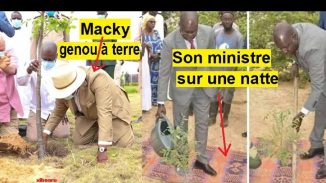 Journée De L’arbre 2020 : Macky Corrige Le Ministre De L’Environnement