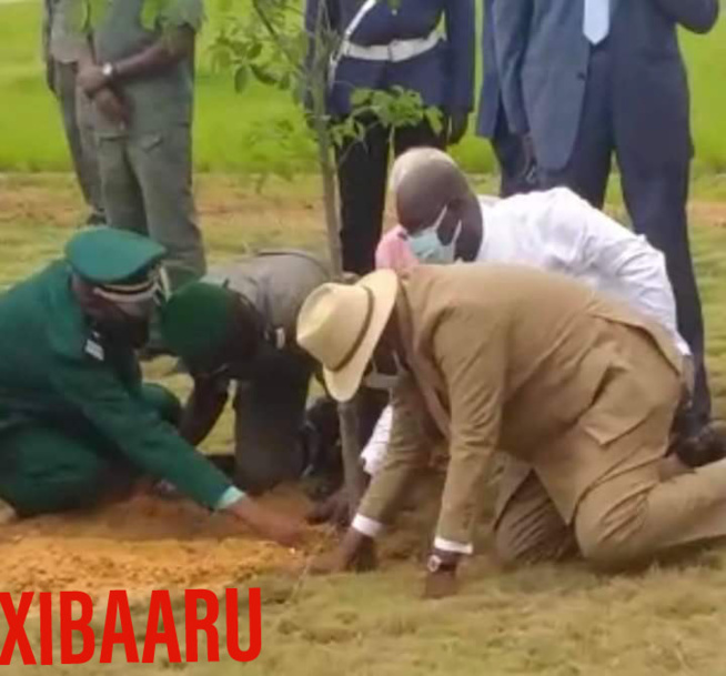 Journée De L’arbre 2020 : Macky Corrige Le Ministre De L’Environnement Journée De L’arbre 2020 : Macky Corrige Le Ministre De L’Environnement