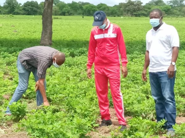 KOLDA / Travaux champêtres : Le ministre Moussa Baldé indique la direction.