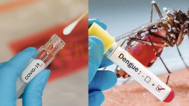 Kaffrine : L’offensive des autorités contre le Coronavirus et la Dengue Kaffrine : L’offensive des autorités contre le Coronavirus et la Dengue
