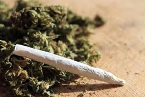 lutte contre le trafic de stupéfiants : 108 kg de drogue saisis entre le Centre et le Sud du pays en 48h lutte contre le trafic de stupéfiants : 108 kg de drogue saisis entre le Centre et le Sud du pays en 48h