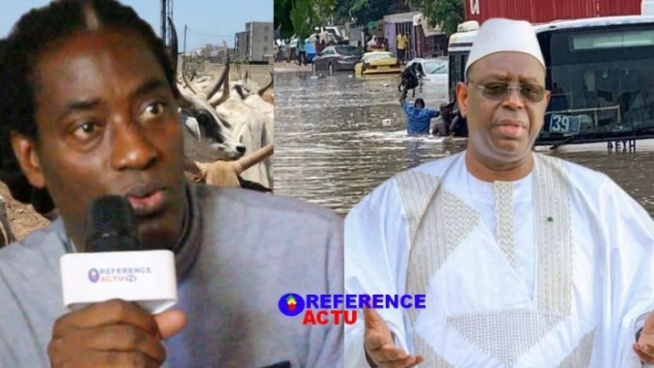 Tamkharit 2020 – Macky Sall offre 1600 Bœufs: Les vérités crues de Mame Goor Diazaka Tamkharit 2020 – Macky Sall offre 1600 Bœufs: Les vérités crues de Mame Goor Diazaka