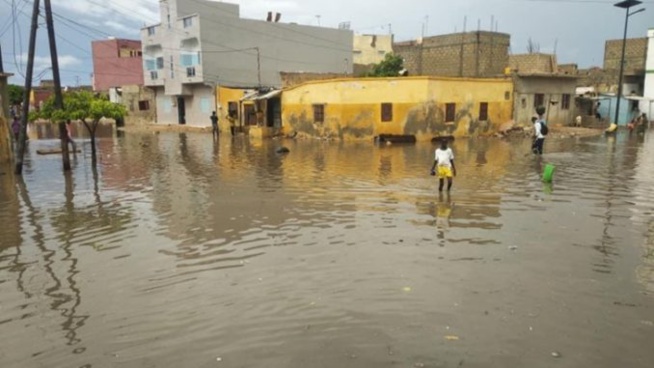 Ndar patauge dans les eaux de pluie… Ndar patauge dans les eaux de pluie…