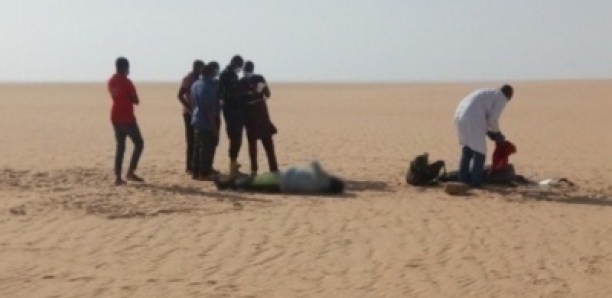 Linguère – D. Sow retrouvé mort la tête décapitée à coups de machette Linguère – D. Sow retrouvé mort la tête décapitée à coups de machette