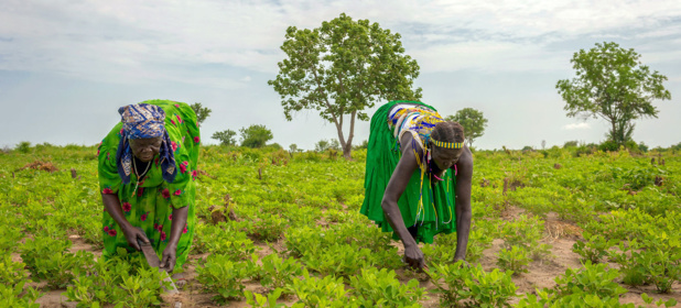 La pauvreté dans le monde est en hausse après des décennies de progrès et les femmes sont les plus touchées