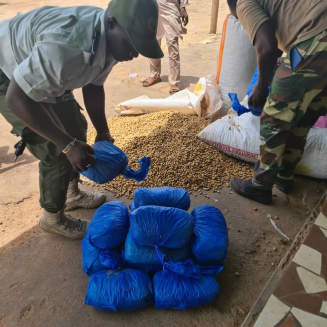 Douane: 108 kg de chanvre indien saisis au Centre et au Sud du pays Douane: 108 kg de chanvre indien saisis au Centre et au Sud du pays