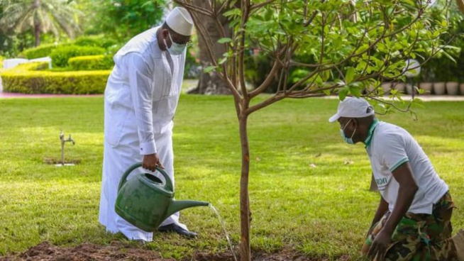 Arret sur image : Macky Sall entrain d’arroser les arbres du palais…Regardez