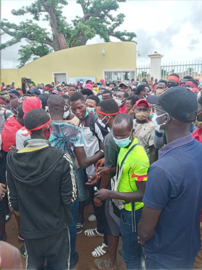 Mbour : Les travailleurs de Twyford en sit-in décrètent 48 h de grève pour lutter contre une nouvelle forme de colonisation