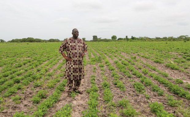 Problème d’inondation : La Premiére instruction ferme de Macky Sall Problème d’inondation : La Premiére instruction ferme de Macky Sall