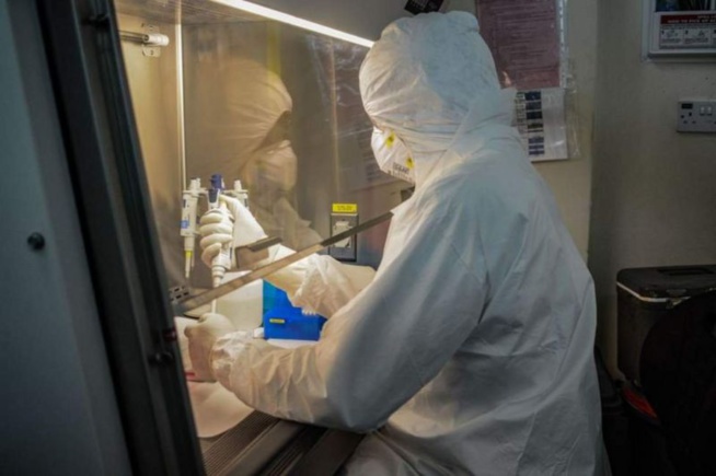 Des scientifiques africains cherchent à cartographier le génome du coronavirus Des scientifiques africains cherchent à cartographier le génome du coronavirus