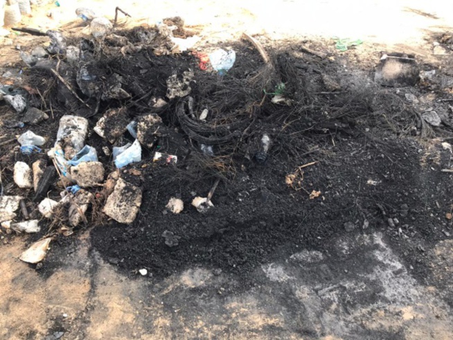 Jaxaay: violentes confrontations entre les forces de l'ordre et la population Jaxaay: violentes confrontations entre les forces de l'ordre et la population