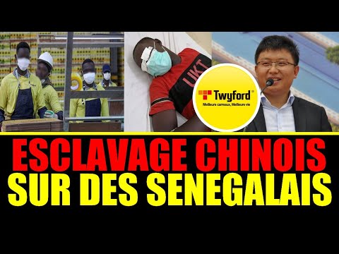 En conditions inhumaines dans son propre pays : Retour sur le mouvement de colère contre l’esclavage des chinois sur des Sénégalais