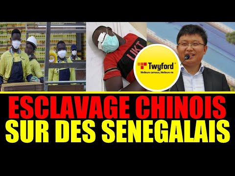 En conditions inhumaines dans son propre pays : Retour sur le mouvement de colère contre l’esclavage des chinois sur des Sénégalais En conditions inhumaines dans son propre pays : Retour sur le mouvement de colère contre l’esclavage des chinois sur des Sénégalais