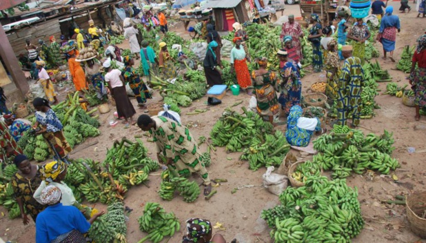 Banque mondiale : « Le système alimentaire est très loin de pouvoir nous aider à réaliser les Objectifs de développement durable Banque mondiale : « Le système alimentaire est très loin de pouvoir nous aider à réaliser les Objectifs de développement durable