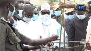 ILA'A TOUBA - Abdou Karim Sall et Cheikh Bass procèdent au lancement de la campagne de reboisement de 24 000 plants tout au long de l'autoroute.