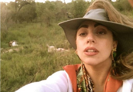 Lady Gaga : La star s'offre du temps libre en Afrique du Sud