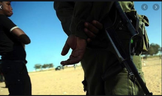 Gambie: Deux soldats sénégalais de l'ECOMIG arrêtés
